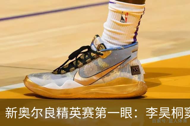新奥尔良精英赛第一眼：李昊桐窦泽成分别搭档参赛