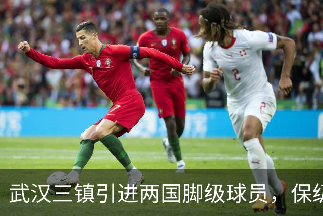 武汉三镇引进两国脚级球员，保级前景乐观