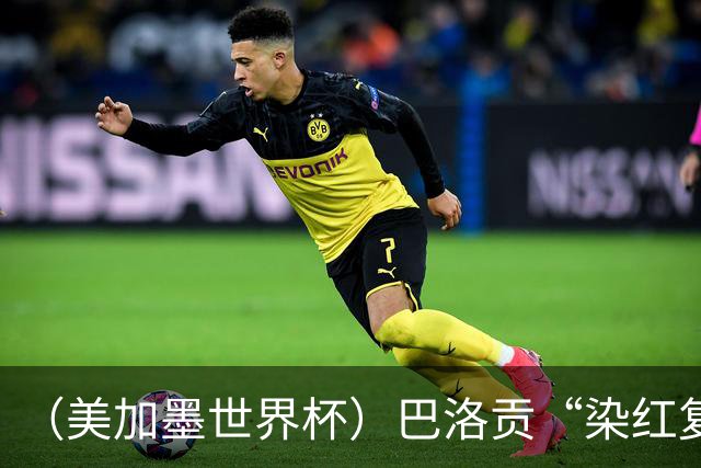 （美加墨世界杯）巴洛贡“染红复活”难救主 比利时淘汰美国进八强