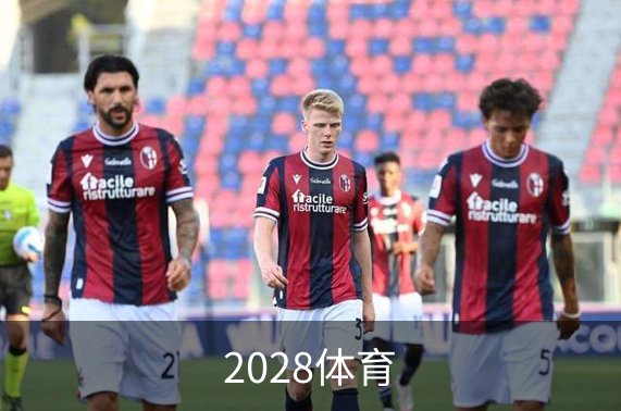 2028体育品牌故事